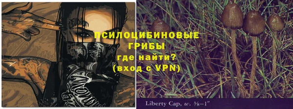 ALPHA PVP Баксан