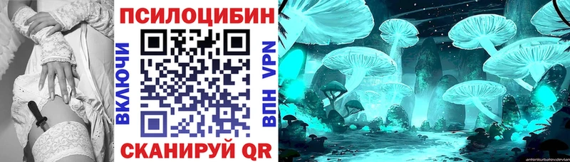Псилоцибиновые грибы мухоморы  Купить закладки  Новоржев 